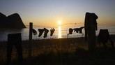 Salah satu tempat yang layak disambangi di kawasan Lingkar Arktik adalah Teluk Unstad, Pulau Lofoten.