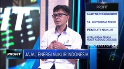 Mantan Kepala BATAN Sebut PLTN Bisa Dukung Target EBT 23%