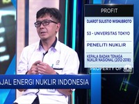 Mantan Kepala BATAN Sebut PLTN Bisa Dukung Target EBT 23%