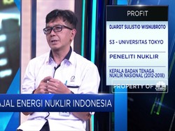 Mantan Kepala BATAN Sebut PLTN Bisa Dukung Target EBT 23%