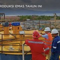 Bidik 180.000 Ton, BRMS Mulai Produksi Emas Tahun Ini