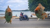 Foto diambil pada suatu pertunjukan aquarium di pantai Ra Wai di Phuket, Thailand. (Photo by Mladen ANTONOV / AFP).