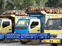 Investasi Pembangkit Listrik Biodisel Capai RP 10 T