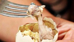 Hukum Memakan Balut bagi Muslim, Halal atau Haram?