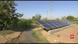 VIDEO: Panel Surya Bantu Sistem Irigasi Petani Mesir