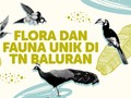 INFOGRAFIS: Flora dan Fauna Unik di TN Baluran