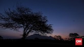 Waktu terbaik untuk menikmati wisata safari di Taman Nasional Baluran ialah pagi atau sore hari. (CNN Indonesia/Bisma Septalisma)