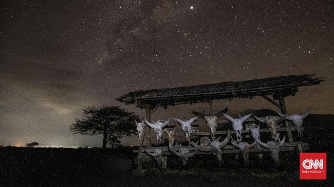 Foto Afrika Di Timur Jawa