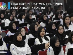 Ikut Rekrutmen Lowongan CPNS 2019? Perhatikan 7 Hal Ini