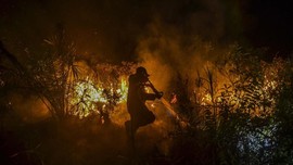 Titik Panas Karhutla Kembali Meningkat di Sejumlah Daerah