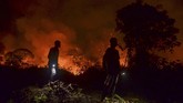 Pada 30 September 2019, Pemprov Riau sempat menyatakan status darurat pencemaran udara di daerah itu akibat karhutla berakhir. Itu didasarkan pada rapat bersama dengan KLHK seiring berkurangnya titik api, namun hotspot kini meningkat lagi. (AFP/Wahyudi)