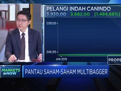 IPMI : Saham ARTO & PICO Meroket, Investor Harus Cermat
