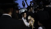 Seorang pemuda Yahudi Ultra-Ortodoks memegang seekor ayam dalam ritual Kaparot di Bnei Brak, Israel. (AP Photo/Oded Balilty)