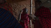 Singa telah menghilang dari 94 persen lahan yang dulu mereka kuasai di Afrika. (AP Photo/Jerome Delay)