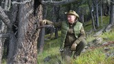 Putin memang dikenal gandrung dengan kegiatan di alam bebas. (Photo by Alexey DRUZHININ / Sputnik / AFP)