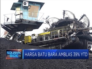 Sepanjang 2019 Harga Batu Bara Anjlok 39%