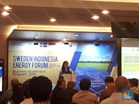 Gandeng Swedia, RI Mimpi Optimalkan Energi Baru 50%