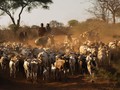 FOTO: Menjaga Auman Singa di Tanzania