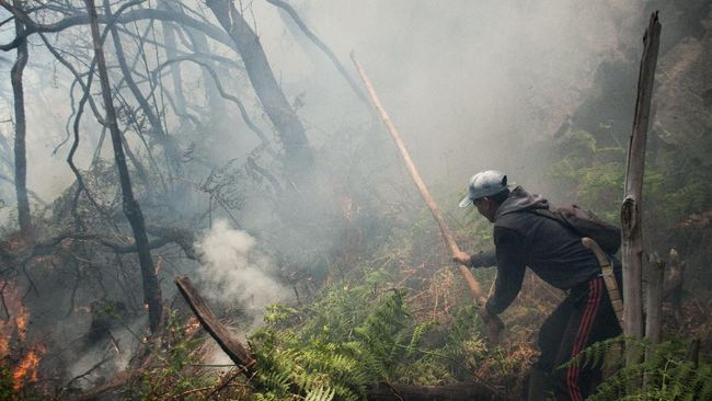 Kebakaran Kawah Putih Capai 15 Ha, Diduga Akibat Puntung