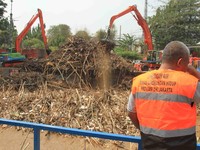 Penampakan Pintu Air Manggarai yang Disesaki Gunungan Sampah