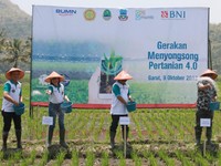 Didukung Teknologi, BNI Ajak Petani Terapkan Smart Farming