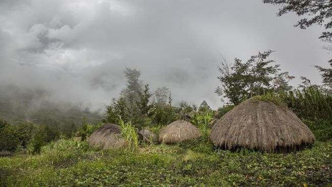 PKS Minta Pengecekan Penumpang Pesawat di Papua Diperketat