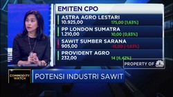 Begini Upaya Pengusaha Sawit Siasati Penurunan Harga CPO