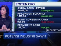 Begini Upaya Pengusaha Sawit Siasati Penurunan Harga CPO