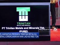 PURE Siap Jajaki Pembangunan Smelter
