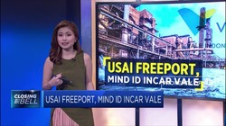 Usai Freeport, MIND ID Incar VALE