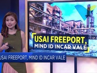 Usai Freeport, MIND ID Incar VALE