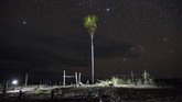 Upaya penghijauan hutan yang terfragmentasi dilakukan menggunakan bibit tanaman spesies asli hutan Amazon. (AP Photo/Rodrigo Abd)