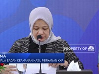 KKP Berhasil Gagalkan Penyelundupan Bibit Lobster