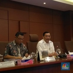 Luhut: Investor Uni Emirat Arab Bakal Serbu RI Bulan Ini