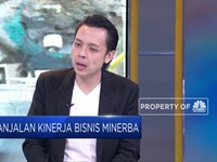 Asosiasi Industri Timah Tanggapi Evaluasi UU Minerba