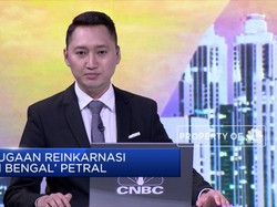"Si Bengal" Petral Bereinkarnasi, Benarkah?