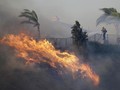 FOTO: Badai Api di California