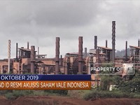 Mind ID Akuisisi Saham Vale Indonesia hingga Topan di Jepang