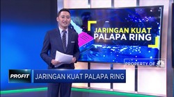 Jaringan Kuat Palapa Ring