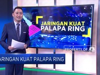 Jaringan Kuat Palapa Ring