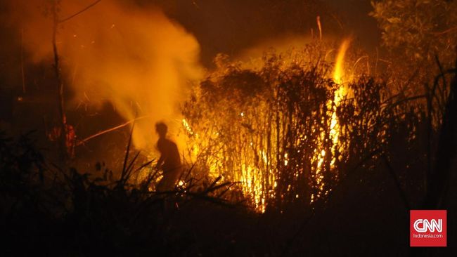 Modifikasi Cuaca Dioperasikan untuk Padamkan Karhutla Riau