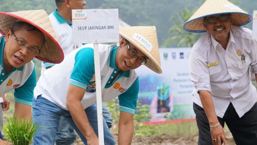 Gerakan Menyongsong Pertanian 4.0 yang diinisiasi Bank Negara Indonesia Tbk mulai diterapkan di Pasaman Barat, Sumatera Barat pada Rabu (16/10/2019).