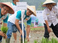 Diinisiasi BNI, Smartfarming Kini Meluas ke Pasaman Barat