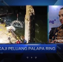Ada Apa di Balik Kerja Sama untuk Palapa Ring?