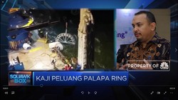 Ada Apa di Balik Kerja Sama untuk Palapa Ring?