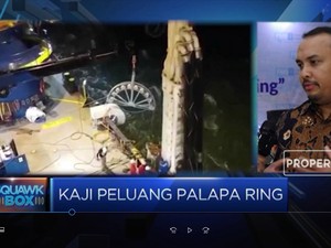 Ada Apa di Balik Kerja Sama untuk Palapa Ring?