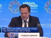 IMF Melihat Pasar Keuangan Dunia Hadapi Risiko Besar