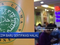 Kado Awal Tahun Sri Mulyani: Sertifikat Halal UKM Gratis!