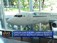 Akhirnya Merpati Bangkit Dari Mati Suri