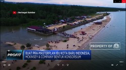 McKinsey Jadi Konsultan Pra-Masterplan Ibu Kota Baru